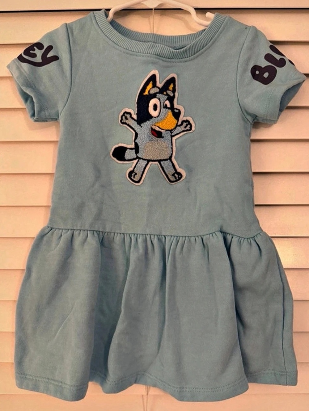 Bluey Kids Character Dress Size 3T Like New